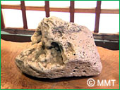 �ǂ���Ɍ������