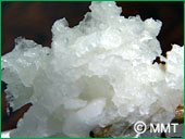 �����ł������卪